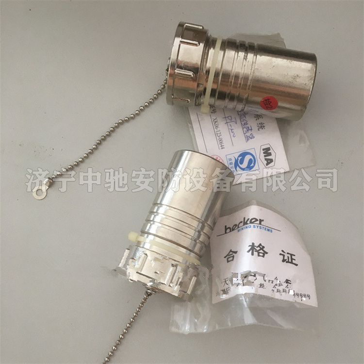 天津貝克PT-100溫度傳感器-1.jpg